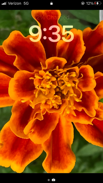 IMG_0803.png