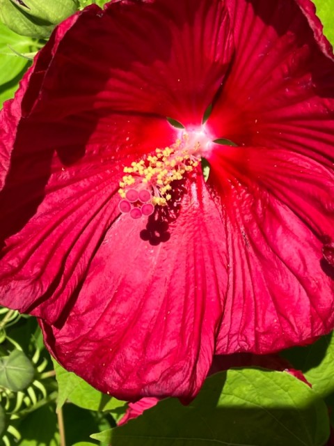 IMG_0999.jpeg