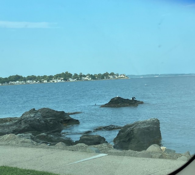 IMG_1161.jpeg