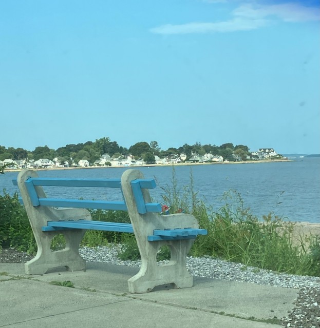 IMG_1164.jpeg