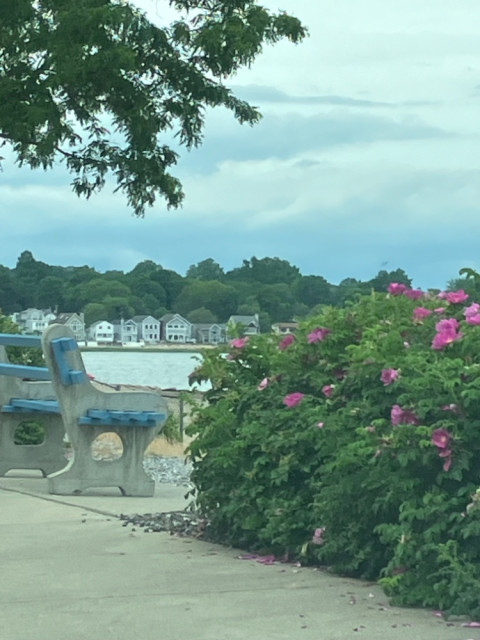 IMG_4091.jpeg