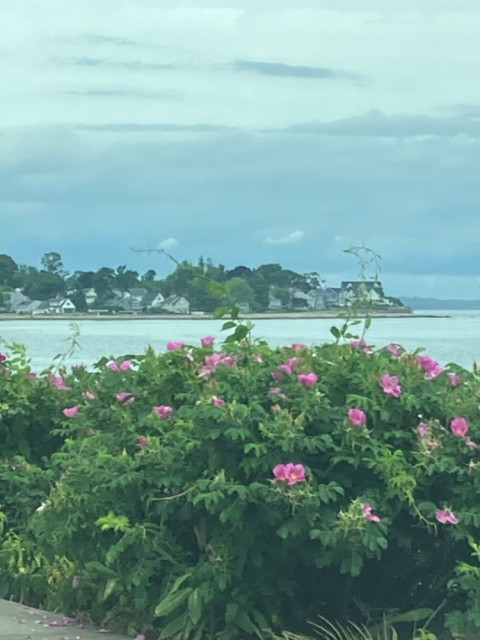 IMG_4088.jpeg