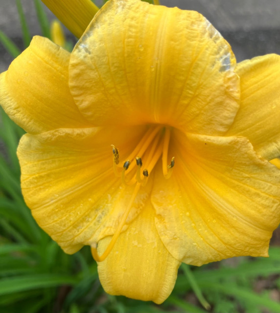IMG_4096.jpeg
