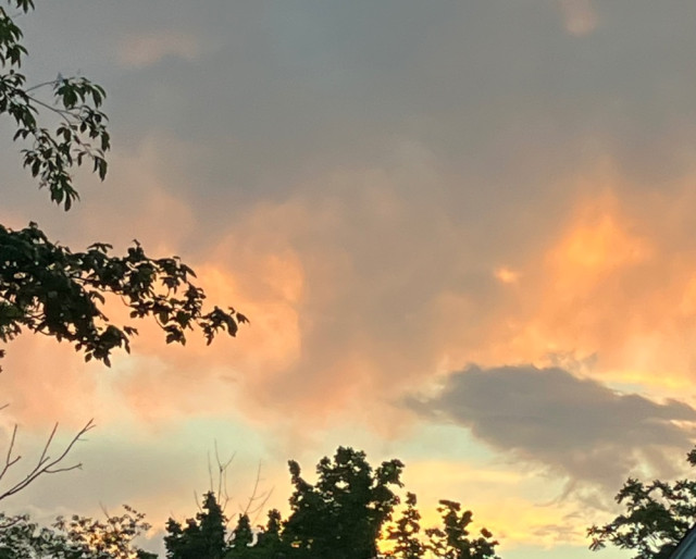 IMG_4100.jpeg