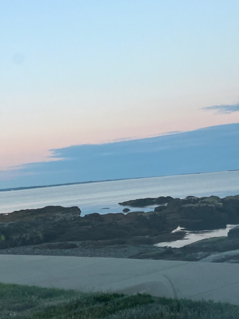 IMG_4137.jpeg