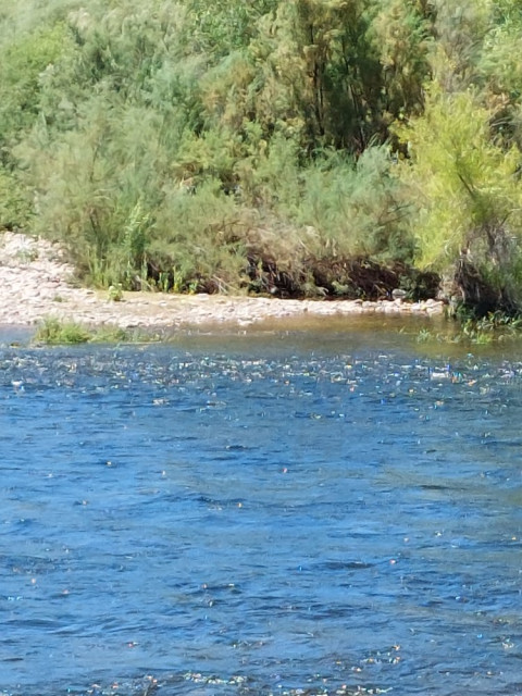 20240619_135355.jpg