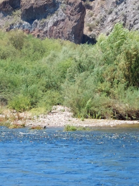 20240619_135405.jpg
