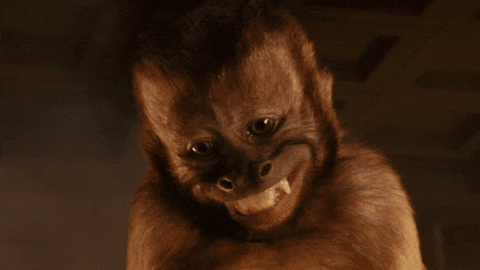 tmp.gif