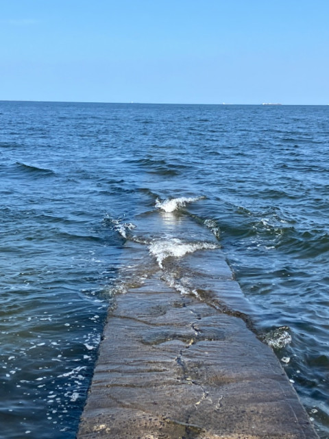 IMG_4946.jpeg