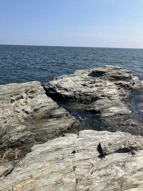 IMG_4942.jpeg