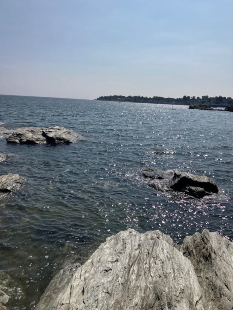 IMG_4940.jpeg