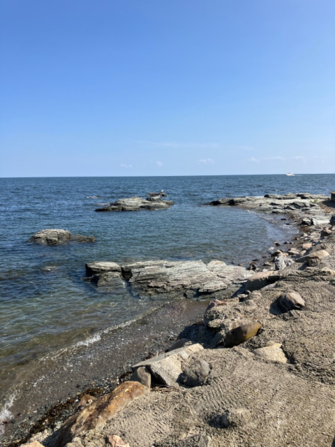 IMG_4937.jpeg