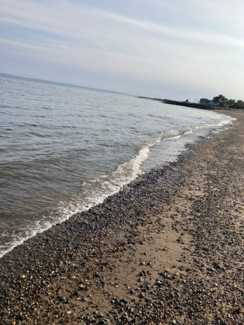 IMG_5188.jpeg