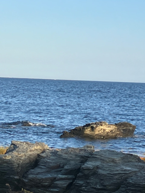 IMG_5477.jpeg