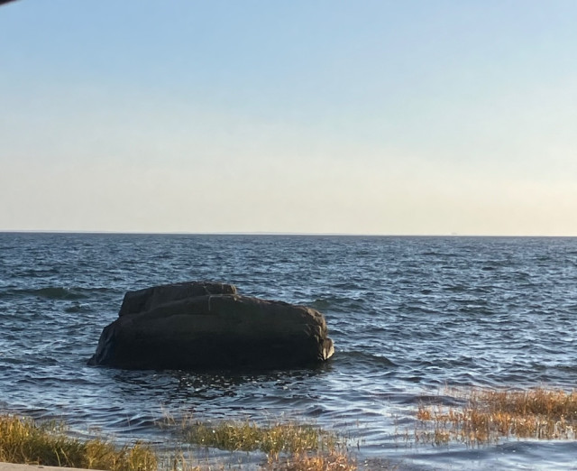 IMG_5476.jpeg