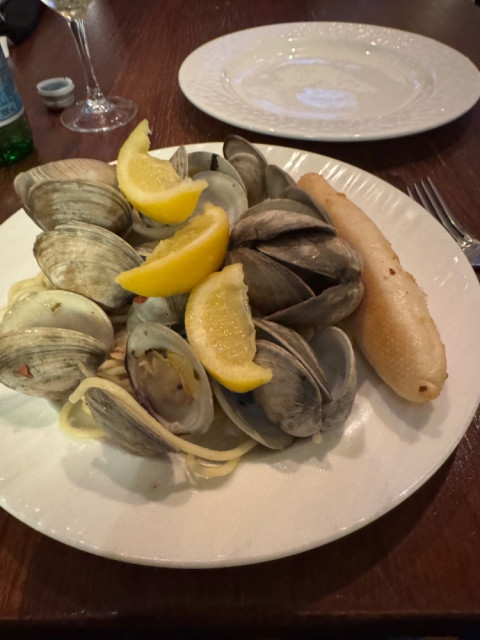 IMG_0400.jpeg