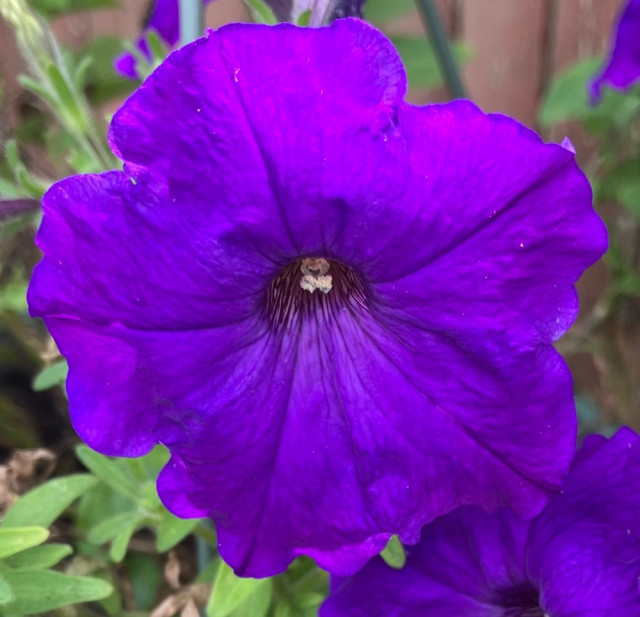 IMG_7792.jpeg