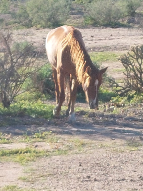 20251019_161432.jpg