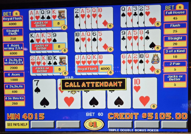 Hollywood, Aurora, 3-7-26-2.jpg