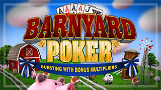 Barnyard Poker